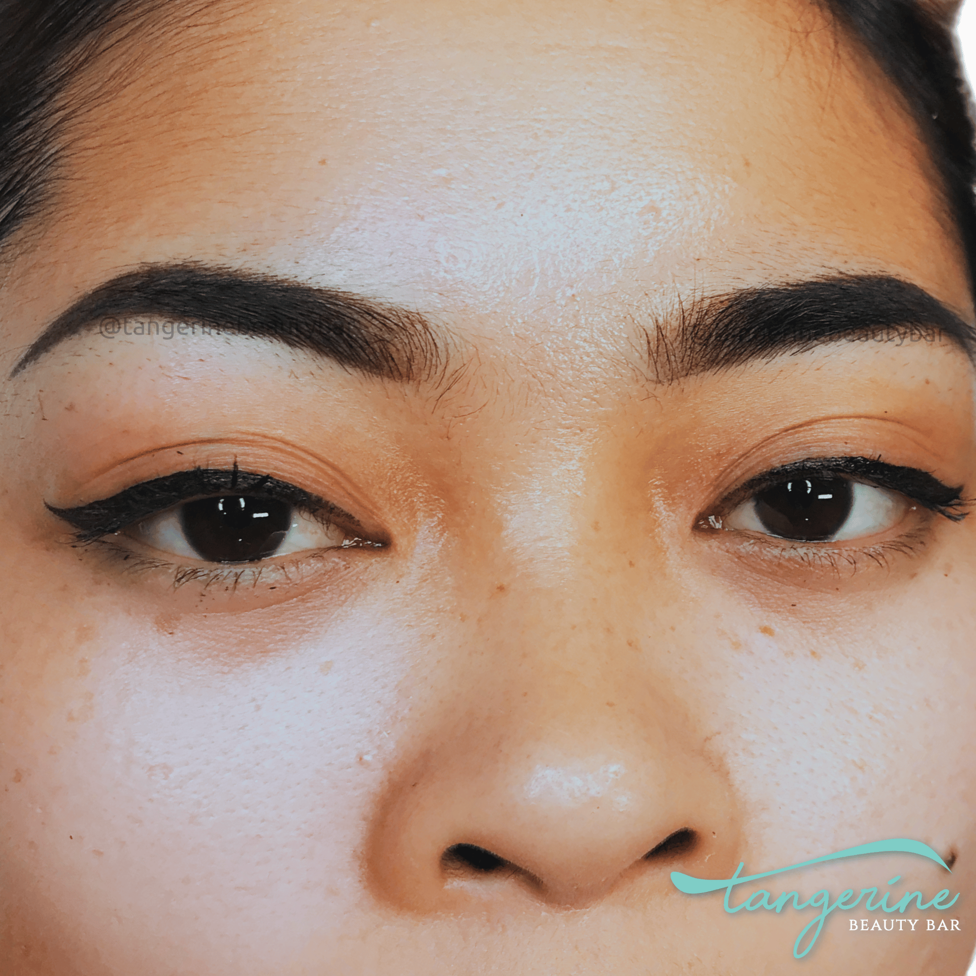 Ombre Powder brows/Powdered brows